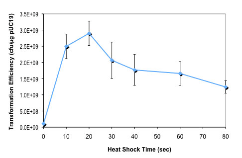 Effect of heat shock time on NEB Express Iq competent E. coli transformation efficiency:
